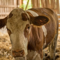 2014-07 Treffen Walz