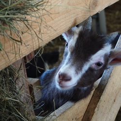 2018_04_Treffen_Reimehof_JHV2018