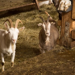 2017-04 Reimehof JHV