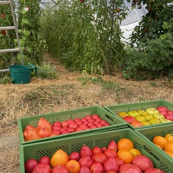 2022-08 Aktionstag Heribert Hederer