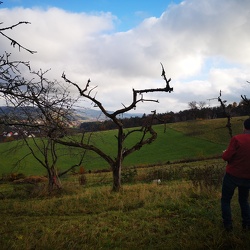 2023-11-26 Erster Besuch Obstwiese Igensdorf